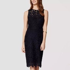 LOFT Navy Lace Sheath Dress